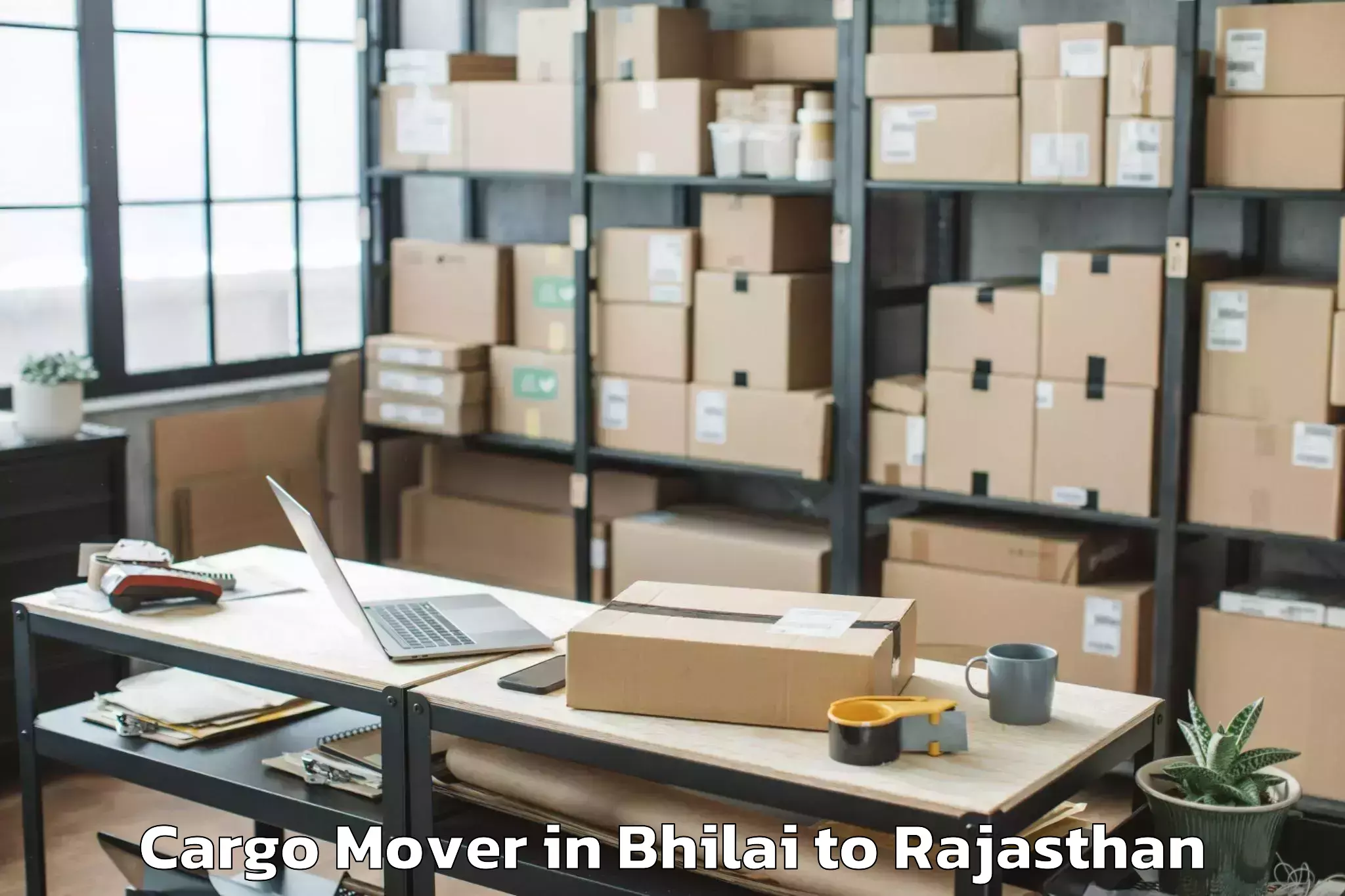 Reliable Bhilai to Pindwara Cargo Mover